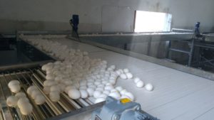 PHOTO-2018-10-28-14-08-43