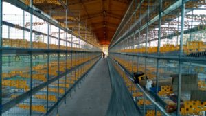 PHOTO-2018-10-28-14-08-44 (1)