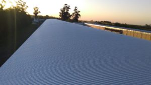 PHOTO-2018-10-28-14-08-47