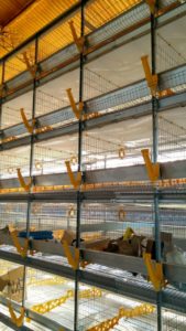 PHOTO-2018-10-28-14-08-52 (1)